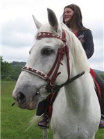 Прически для лошади » Сайт о лошадях slep-kostroma.ru